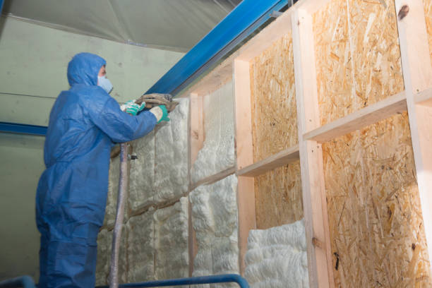 Best Local Insulation Services  in Eddyville, KY